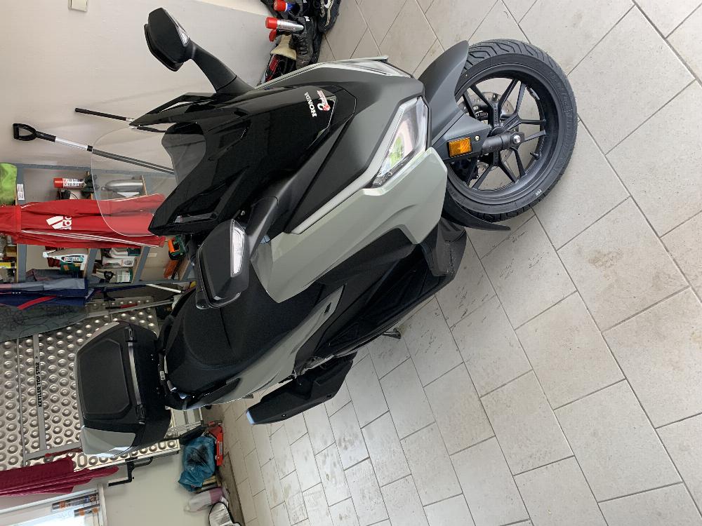 Motorrad verkaufen Honda Honda Sforza 125 Ankauf